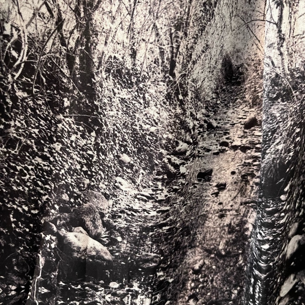 Ted Baker Size 2 Forest Maxi Dress in polyester